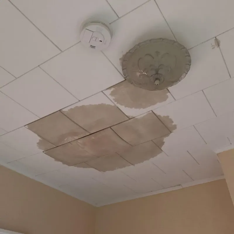 Ceiling Water Damage Repair in Marlton, NJ
